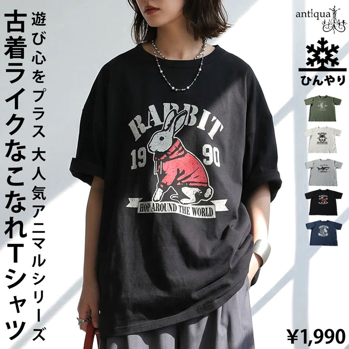 antiqua（アンティカ） 半袖 Tシャツ レディース 接触冷感 綿100