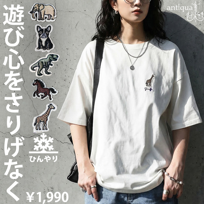 antiqua（アンティカ） 接触冷感 Tシャツ レディース 半袖 綿100