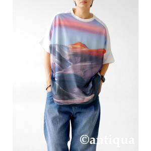 Tシャツ メンズ トップス 半袖 山 柄 柄トップス 送料無料・100ptメール便可【Z】