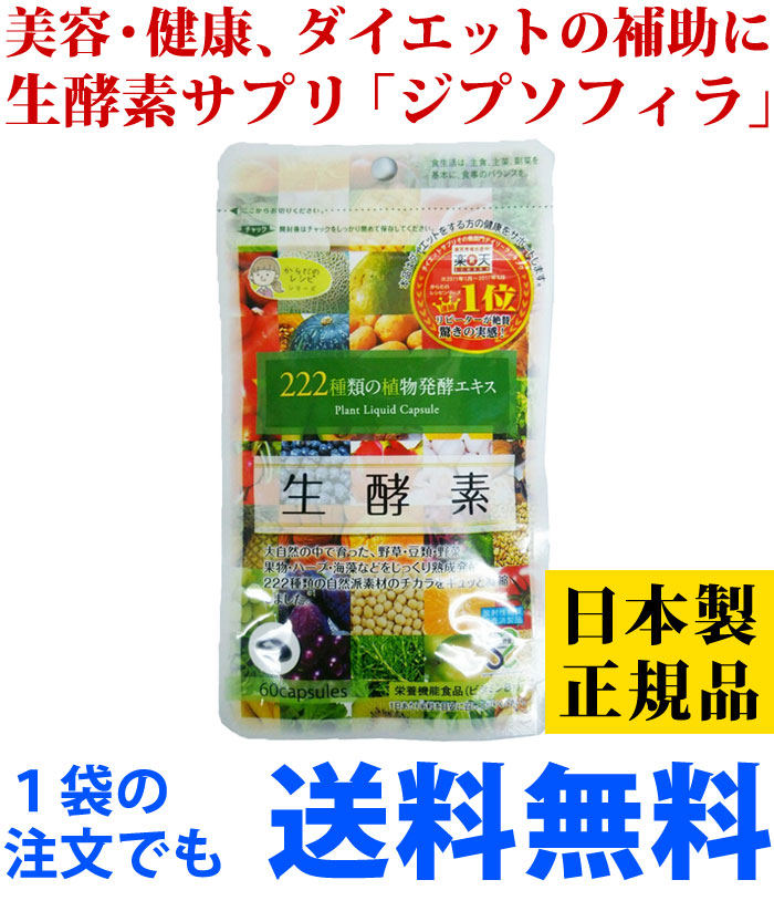 卓越 生酵素 222ジプソフィラ 酵素 サプリ 送料無料 即日出荷 5008 酵素ドリンク サプリメント ダイエット 賞味期限2025年3月  ネコポス発送10袋まで whitesforracialequity.org