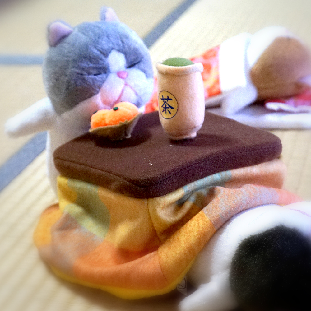 cat6001.jpg
