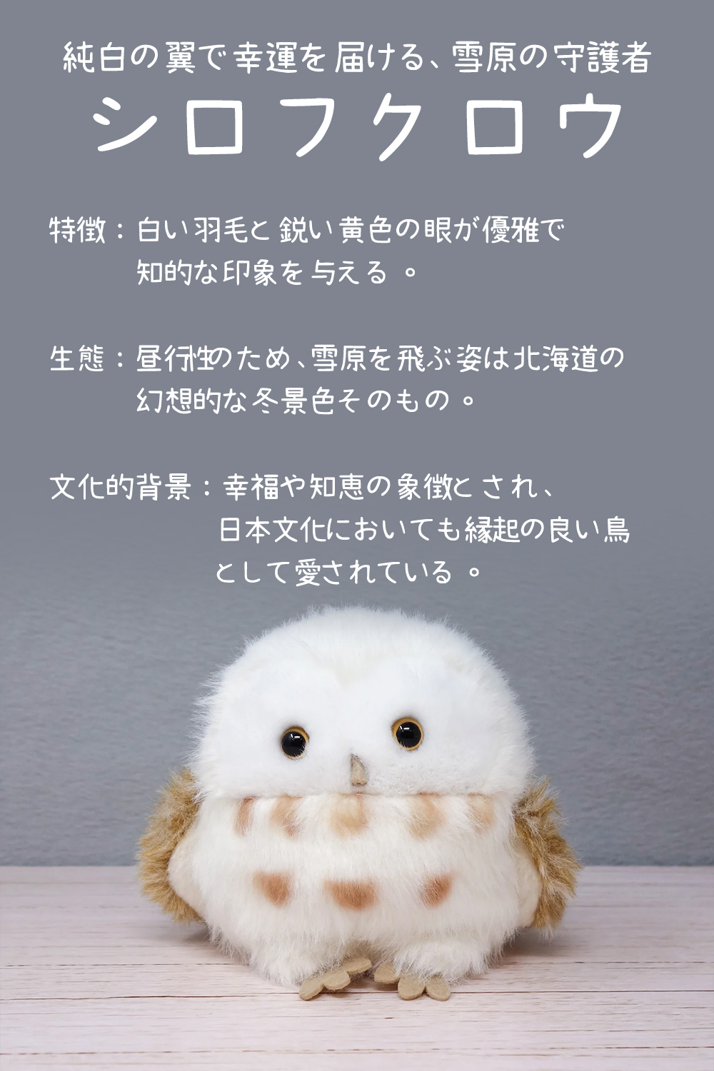 watapo0041.jpg