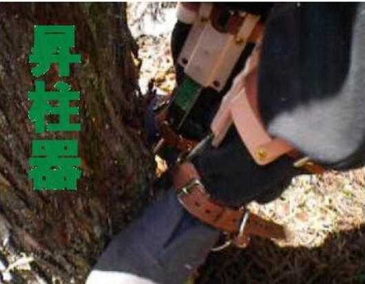 ツヨロンの昇柱器「FG-1」直爪 1本爪 枝打ち、伐採時の際、足に装着