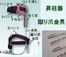 藤井電工 ツヨロンの昇柱器「FG-2」傾斜爪 1本爪 枝打ち、伐採時 藤井電工 ツヨロンの昇柱器「FG-2」傾斜爪 1本爪 枝打ち、伐採時