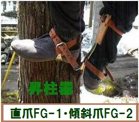 ツヨロンの昇柱器「FG-1」直爪 1本爪 枝打ち、伐採時の際、足に装着