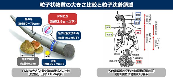 DS3　マスク　3M　スリーエム　日本　国家検定合格　防塵　使い捨て　8233-DS3　5枚