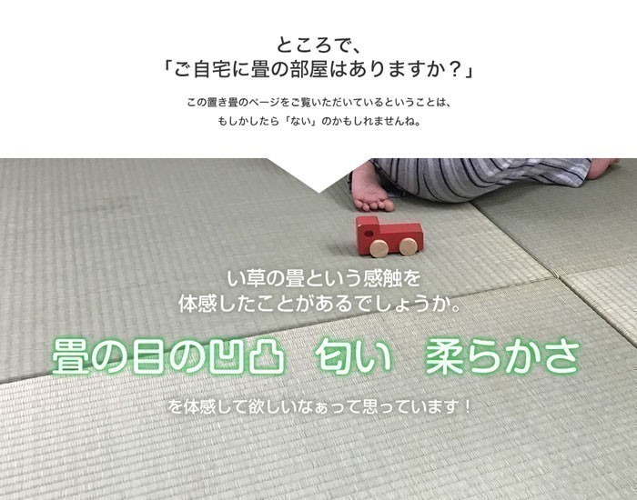 畳 置き畳 琉球畳 畳 国産 ユニット畳 い草 3畳分 6枚 佐賀県産い草