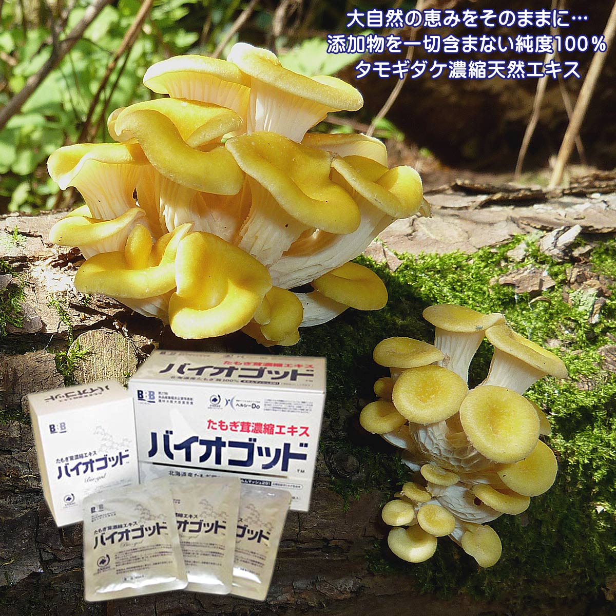 バイオゴッド たもぎ茸濃縮エキス 80ml×30袋 スリービー バイオゴッド たもぎ茸濃縮エキス 80ml×30袋 : あおい 正直
