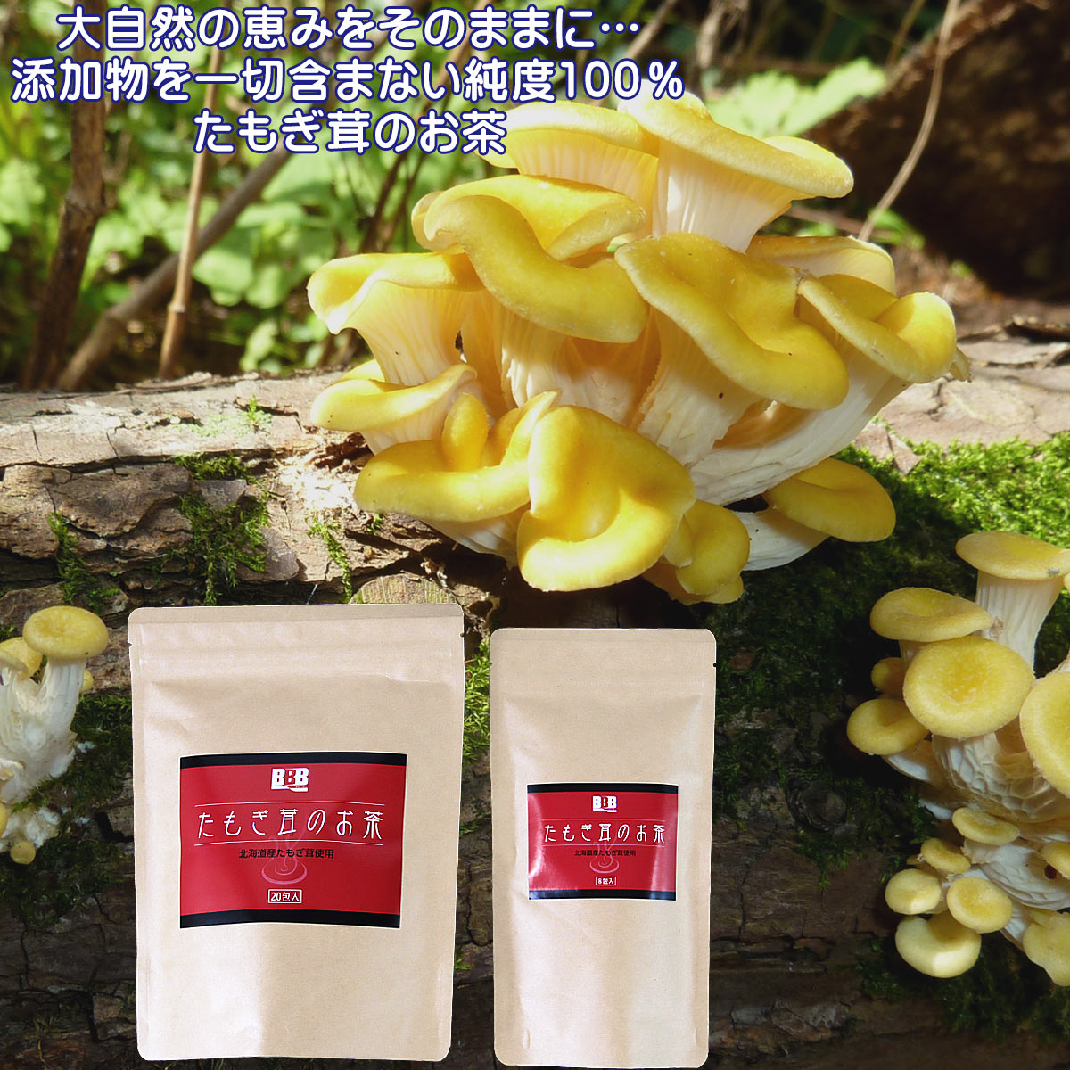 スリービー たもぎ茸のお茶 ティーパック 2g×8包×24袋 : あおい 正直