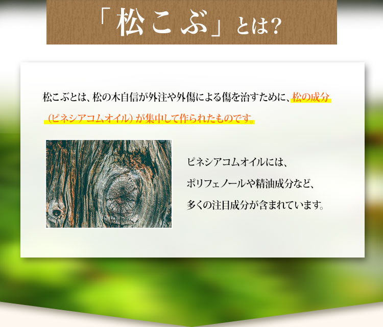 松康泉 楽天市場】松康泉 しょうこうせん 100粒入 松の自然治癒成分を豊富に