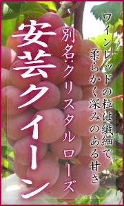 安芸クイーン