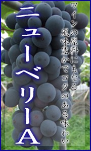 ベリーＡ