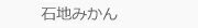 石地みかん