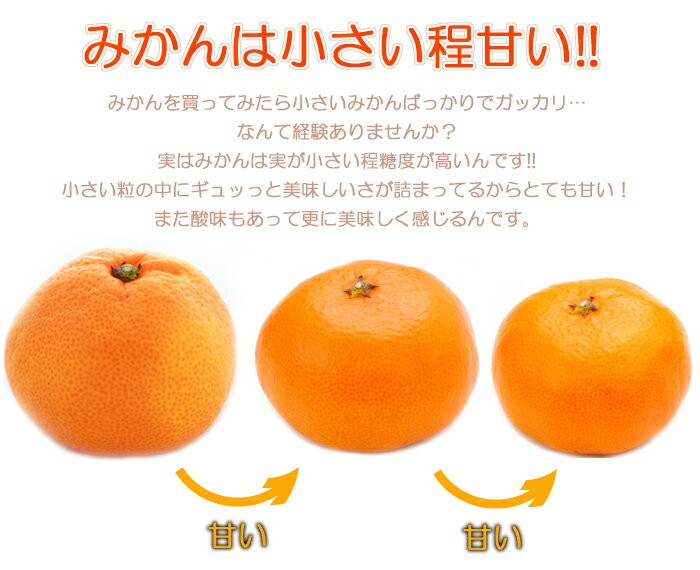 みかん 訳あり 10kg 広島 瀬戸田産 早生みかん みかん訳あり 瀬戸田