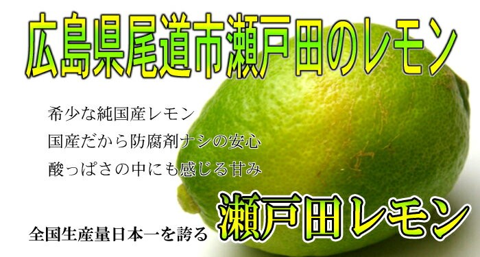 期間限定価格】レモン 訳あり 10kg 国産レモン 瀬戸内レモン 瀬戸田レモン 訳ありレモン ノーワックス 防腐剤不使用 減農薬栽培 グリーンレモン  家庭用 : glemon-w-10 : あおいくま - 通販 - Yahoo!ショッピング