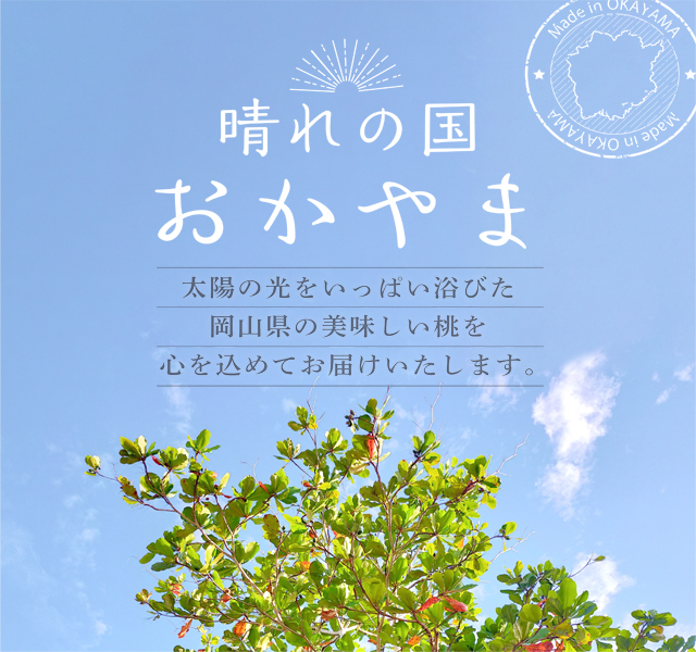 岡山 白桃 白麗 2kg 約6玉〜8玉 岡山桃 桃 もも お中元 贈答用 秀品