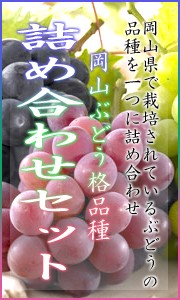 詰め合わせ