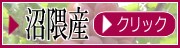 沼隈安芸クイーン