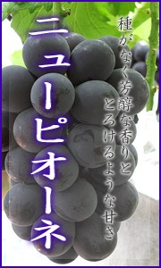 ピオーネ