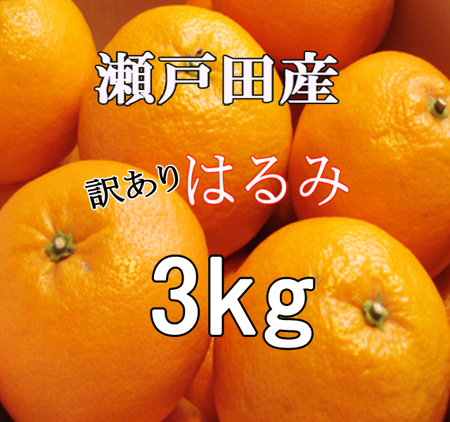 はるみ みかん 訳あり 10kg 尾道 瀬戸田産 訳ありはるみ はるみ