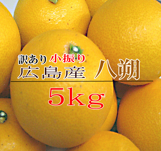 期間限定価格】小振り八朔 訳あり 10kg 尾道 広島産 小振りの八朔