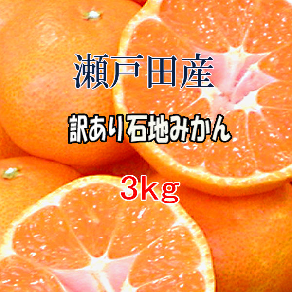 東広島市内配送無料】わけあり 石地みかん 30キロ