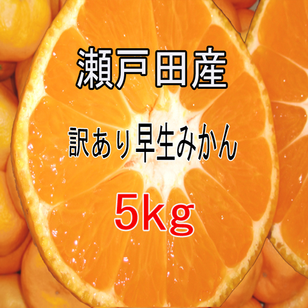 みかん 訳あり 10kg 広島 瀬戸田産 早生みかん みかん訳あり 瀬戸田