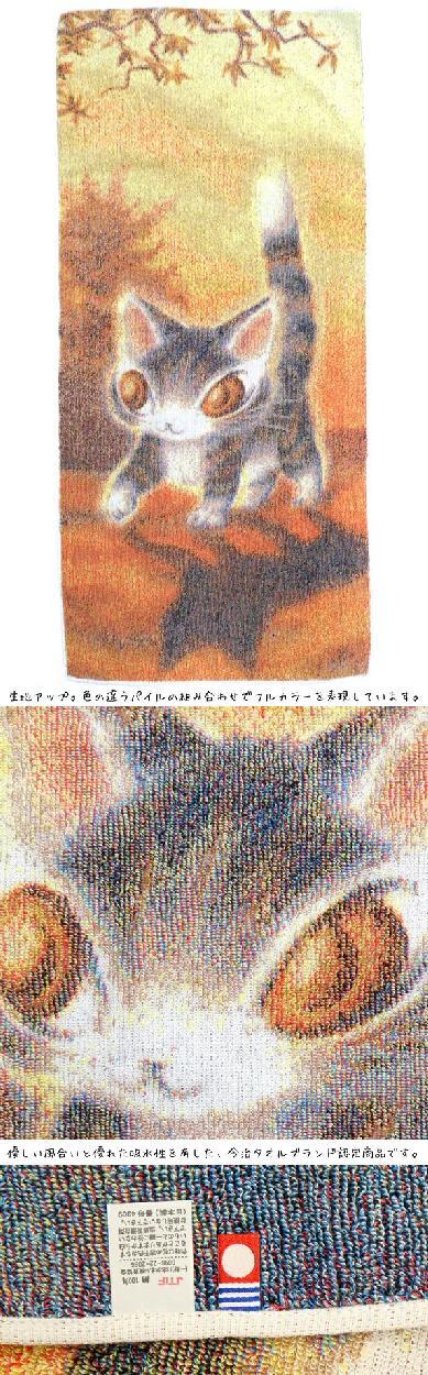ダヤン 五彩織フェイスタオル（月に乾杯/光の中）わちふぃーるど タオル 日本製タオル レディース ネコ 猫 ねこ かわいい  :wach-art-937565:青い空ヤフー店 - 通販 - Yahoo!ショッピング