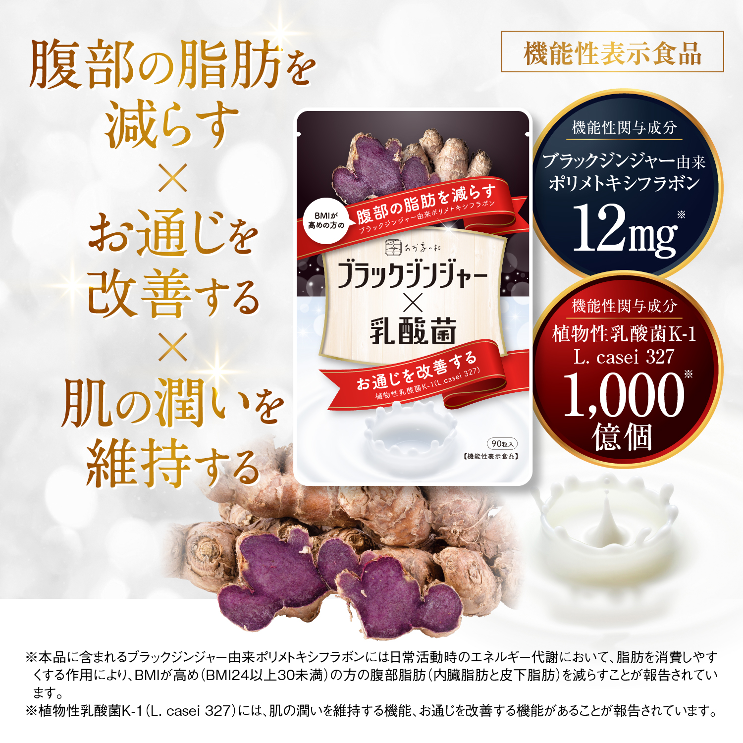 ナイシボル ブラックジンジャー サプリメント ダイエット - ダイエット食品