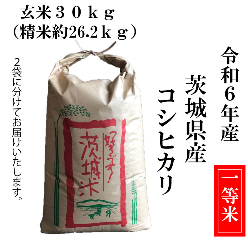 r6koshi30kg.png