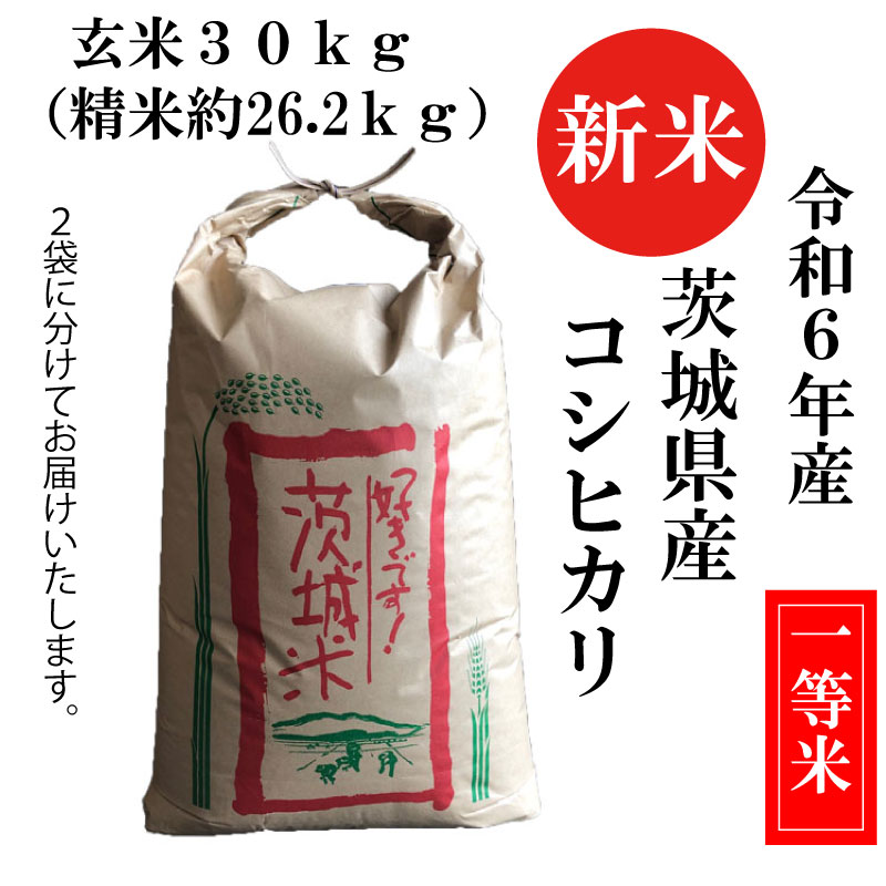 令和６年産 新米 こしひかり コシヒカリ 玄米３０kg 茨城県産 白米 精米 一等米 送料無料 : 500 : あおき商店 - 通販 -  Yahoo!ショッピング