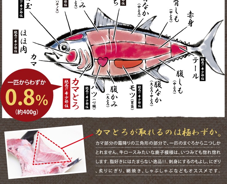 本マグロ カマトロ 2人前 刺身 国産 希少部位 お取り寄せ グルメ ギフト まぐろ 鮪 035 マグロの虎 高級海鮮 まぐろ問屋 通販 Yahoo ショッピング