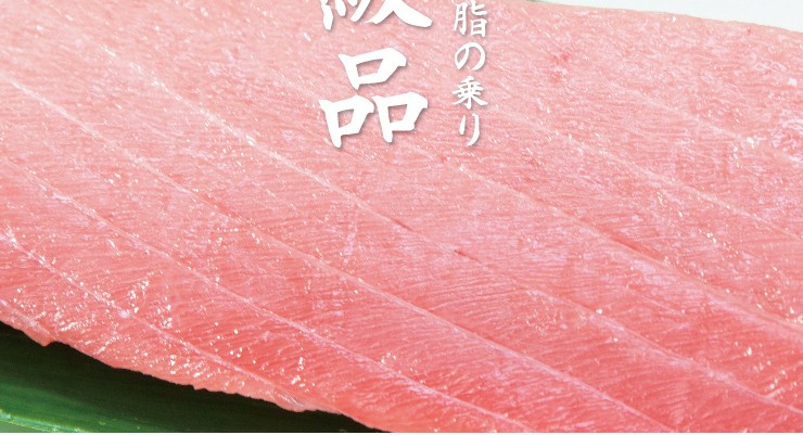 国産本マグロ中トロ