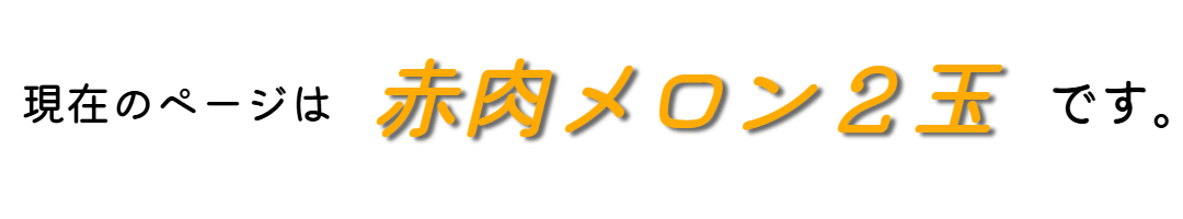 現在のページは