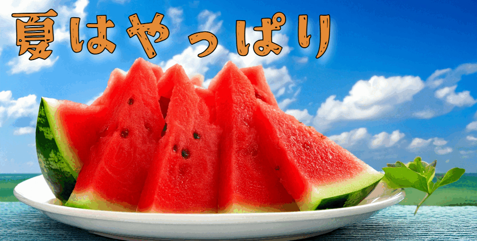 2026年発送予約】 1玉 【送料無料】 とってもジューシー!! 青森県産