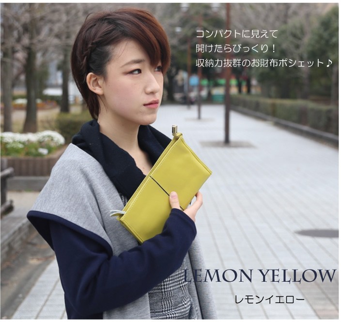 普段のおでかけに！旅行用のサブバッグにも！お財布ポシェット ショルダーバッグ