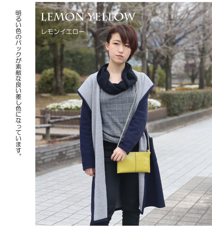 普段のおでかけに！旅行用のサブバッグにも！お財布ポシェット ショルダーバッグ