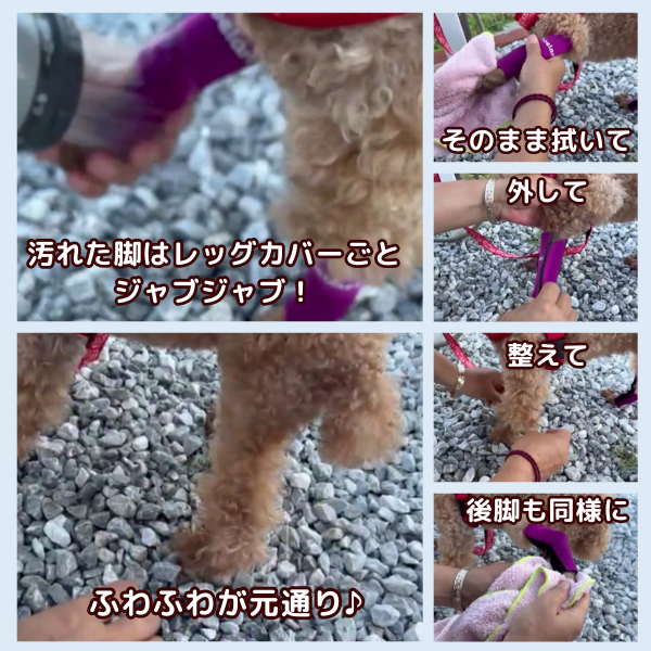 犬 レッグカバー サポーター 汚れ防止 足の保護 傷口保護 舐め防止 XS 12L｜aota-shirota｜04