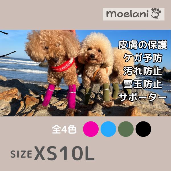 犬 レッグカバー サポーター 汚れ防止 足の保護 傷口保護 舐め防止 XS 10L｜aota-shirota