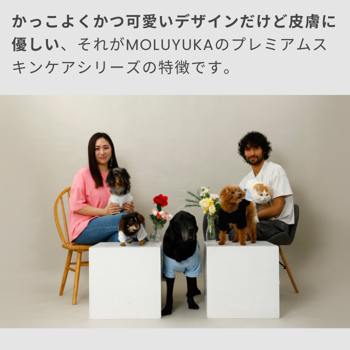 MOLUYUKA プレミアム スキンケア Tシャツ for pets M｜aota-shirota｜12