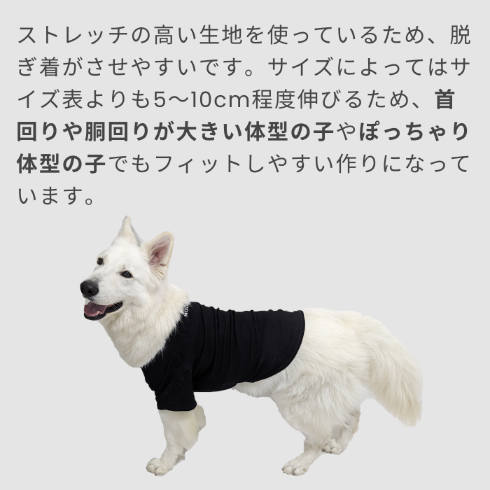MOLUYUKA プレミアム スキンケア Tシャツ for pets 5XL｜aota-shirota｜10