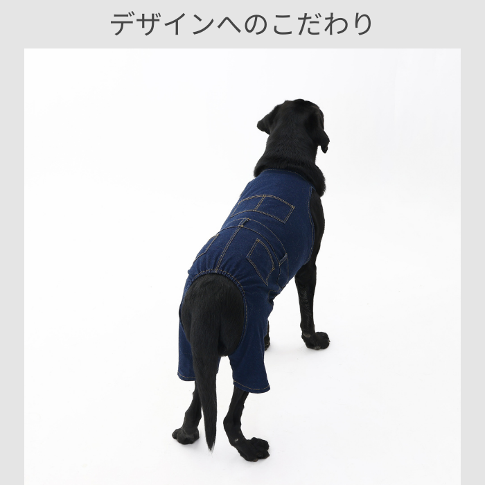 MOLUYUKA プレミアム スキンケア デニム オーバーオール for pets M｜aota-shirota｜11