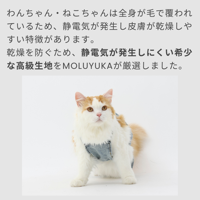 MOLUYUKA プレミアム スキンケア デニム オーバーオール for pets S｜aota-shirota｜04