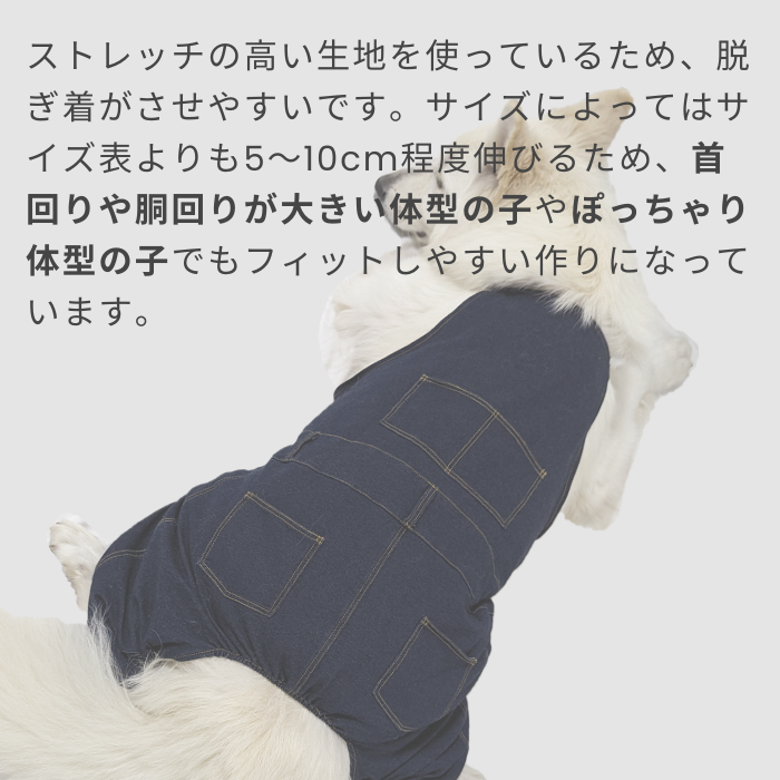 MOLUYUKA プレミアム スキンケア デニム オーバーオール for pets M｜aota-shirota｜10