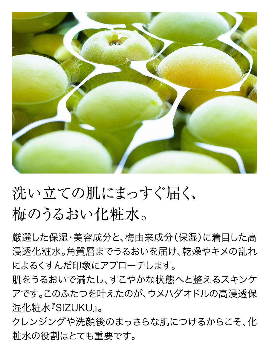 ウメハダオドル モニターセット
