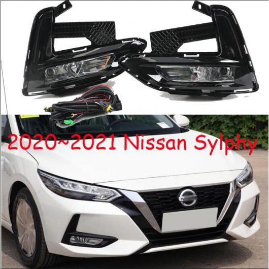 バンパー ヘッドライト 適用: 日産 シルフ フォグライト セントラ 2020-2021 ハロゲン タイプ001 日産 シルフ 2020-2021 ハロゲンバルブ AL-OO-0038 AL