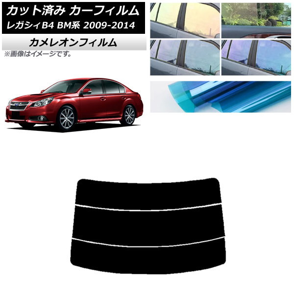 J[tB Xo KVB B4 BMn Z_ 2009N05`2014N10 AKX() JI Iׂ3tBJ[ AP-WFCM0201-R3