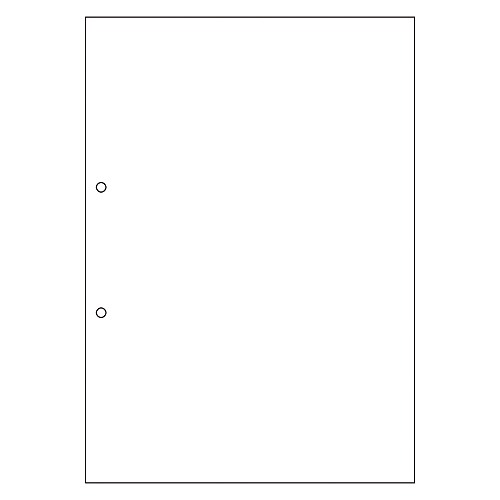 ヒサゴ マルチプリンタ帳票 A4 ノーカーボン 白紙 2穴 大入 FSCF2001Z(48758)