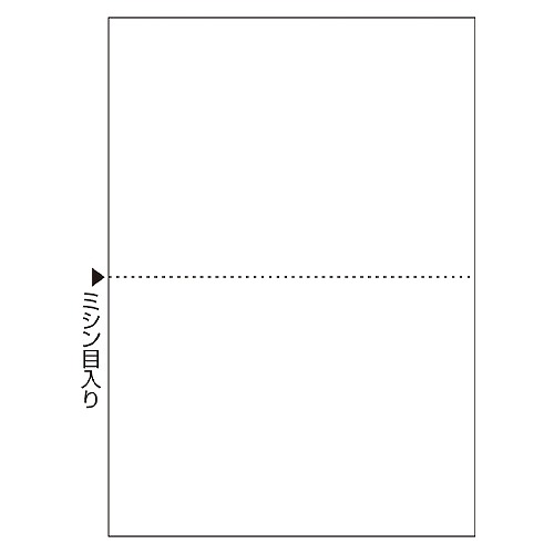 ヒサゴ マルチプリンタ帳票 A4 ノーカーボン 白紙 2面 FSCF2002(48793)