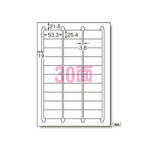 エーワン(A-one) ラベルシール プリンタ兼用 A4 30面 キレイにはがせるタイプ 入数：1パック(100入) 31260(17445)
